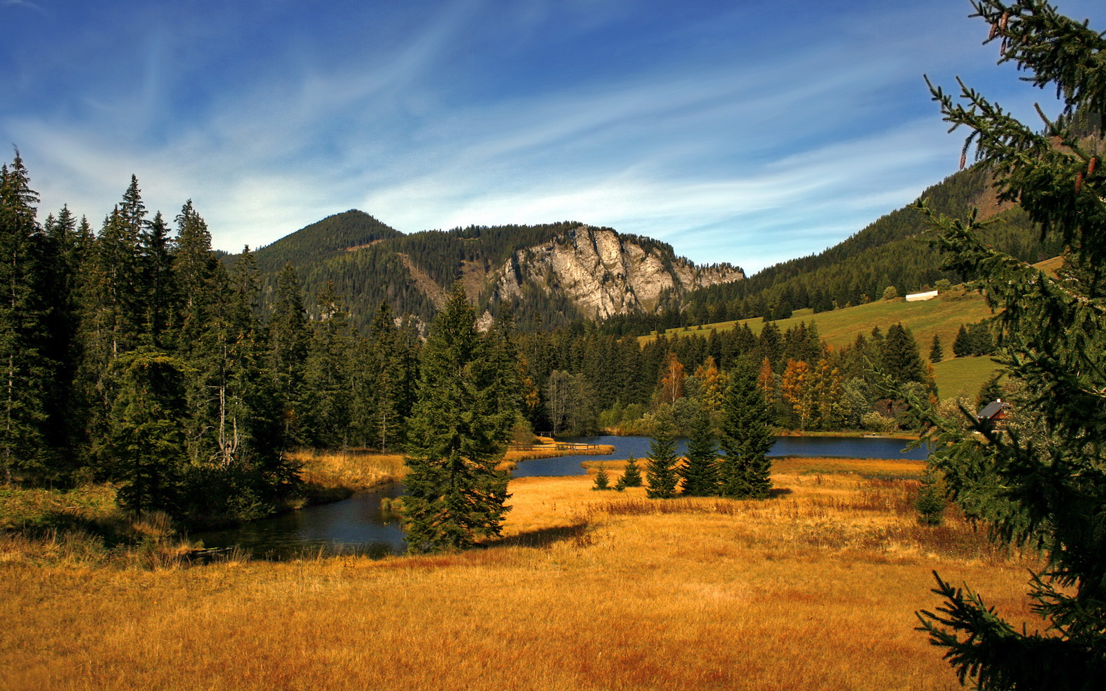 中超是否能设立专业的伤病管理小组?