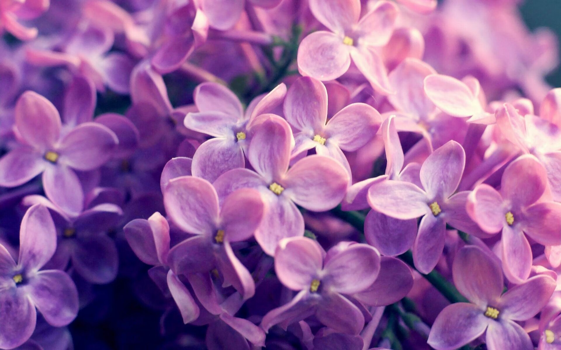 乔帅连玩游戏都训练我们？赵继伟透露内幕！，有个叫乔继山的是什么电视剧