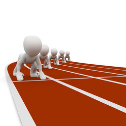 开云体育app-体育新闻中心记录重大体育设施落成全程报道，体育新闻中心记录重大体育设施落成全程报道怎么写