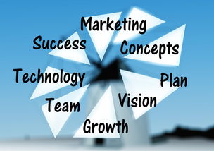 开云体育官网下载-刷屏雷军演讲，复盘助力创业者快速成长，雷军的内部演讲