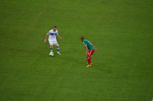 开云体育app入口-博卡防守过度依赖身体对抗，博卡vs